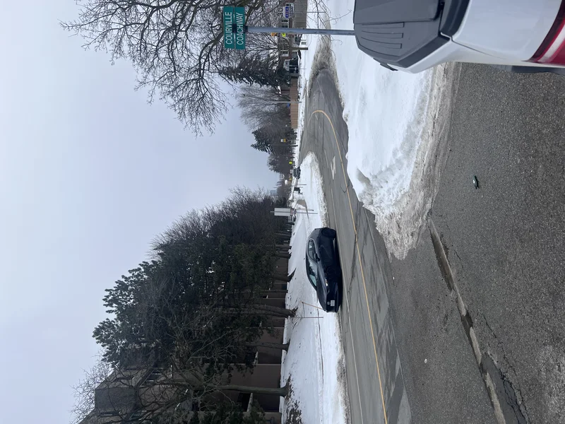 今日与我同淋雪，也算此生共白头！