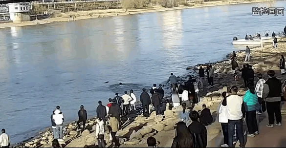 穿正装打领带救人的年轻人 拟确认见义勇为