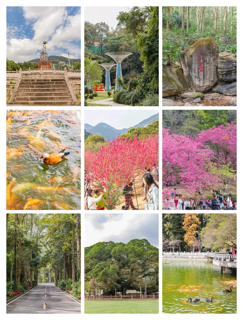 绝美『桃花源』已上线⛩️🌈🌳🌿🏵️🌷