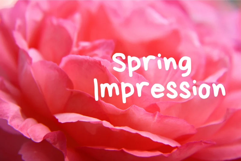 🌸【春天印象·国际艺术邀请展 2026】好忙啊！Still Composing 🌸 Spring Bird’s Song 春天的小鸟 🐦｜在忙碌中感受春天的喜悦