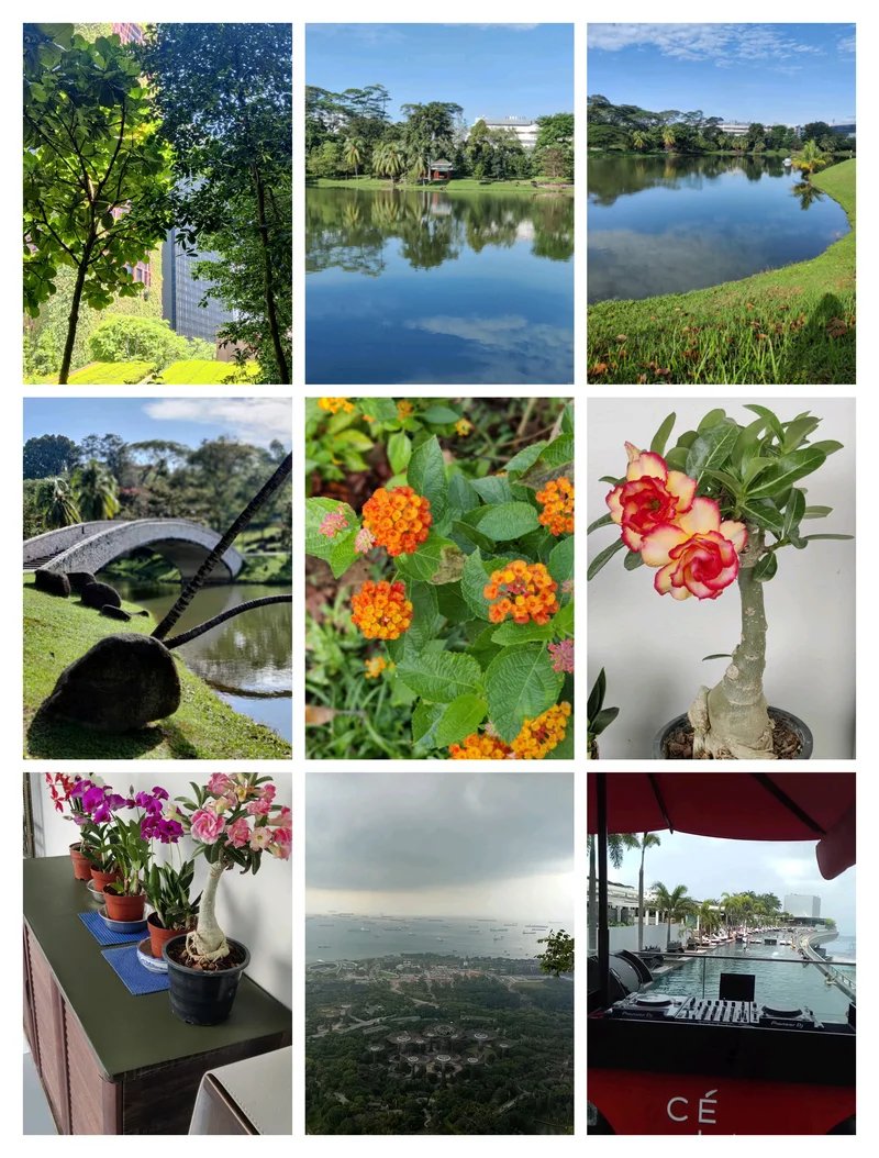 【活动】驾着神光时空游⛩️🌈🏝️💦⛵🛳️