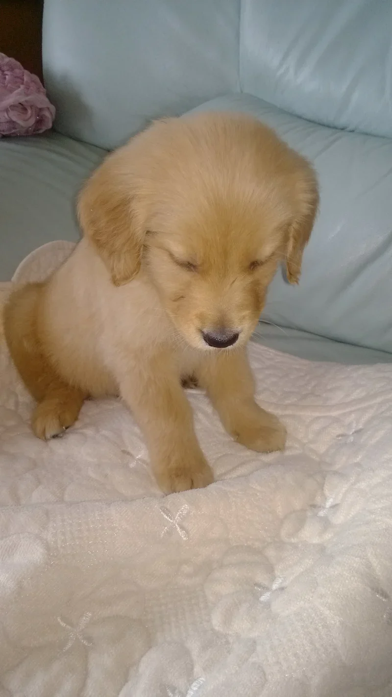 克里斯有难，小薇恳请大家帮忙留言安慰鼓励他