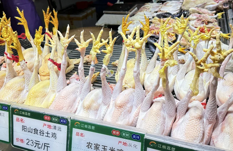 跟着Rose逛市场--广州江楠荔塱市场--家禽和蔬菜🐔🥕🥒🥬🧄🫚💐