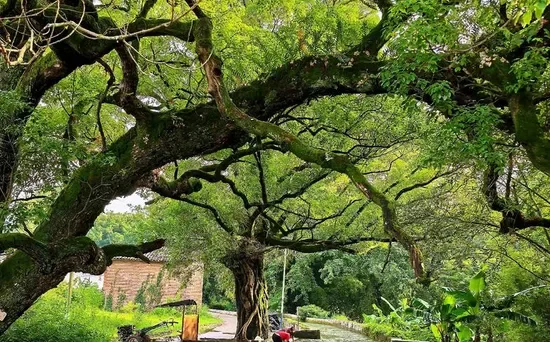 ☕时代的红利永远只有一个：保持身体健康