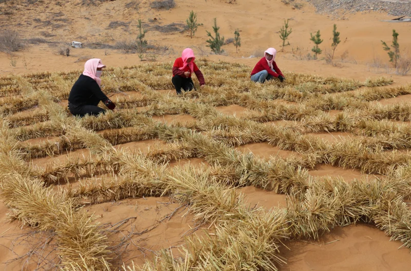 相当于20个三峡大坝 中国在沙漠里憋了什么大招?