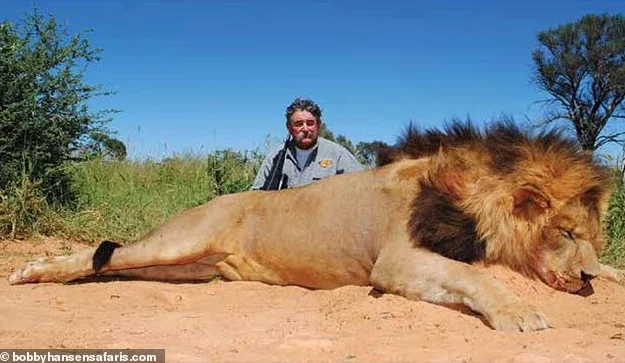 美国千万富豪被大象围攻踩死 评论区却刷屏“报应”