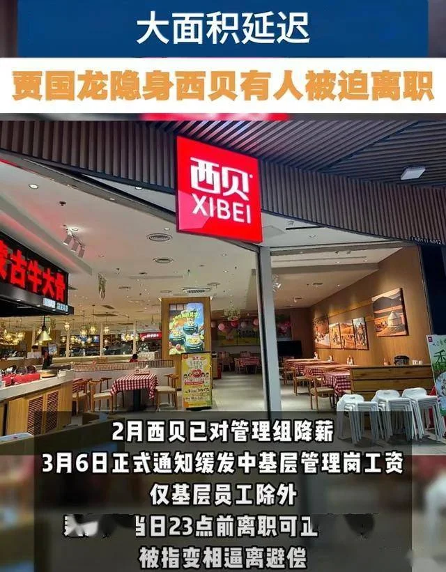 西贝人设崩塌大面积欠薪 6亿亏损全让员工扛