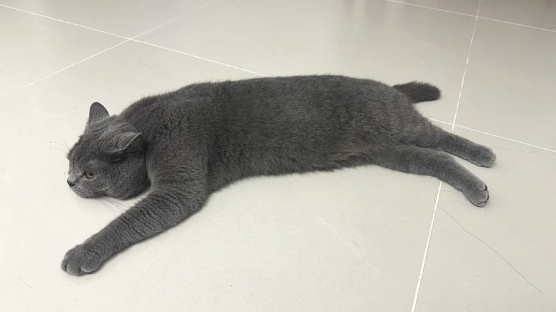 溜溜越狱现场报导🐈‍⬛