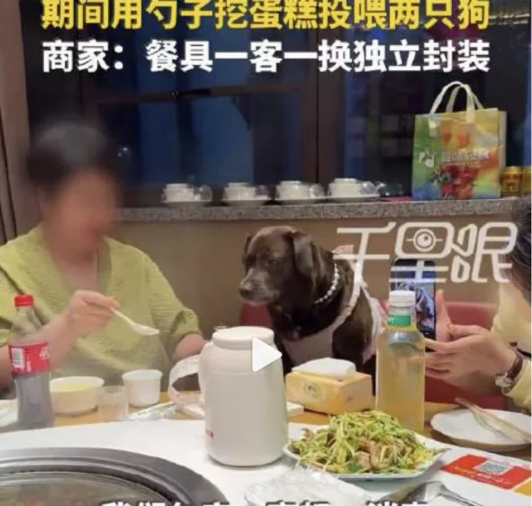 天津餐厅“狗生日宴”引发众怒 网友:真是活该！