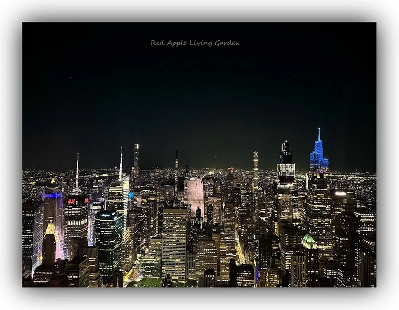 🍎※※ 纽约的夜空 ※※🧧