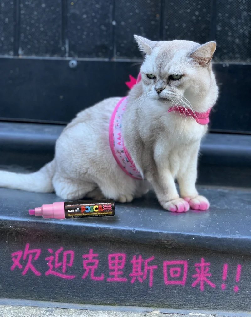 欢迎克里斯回来！！