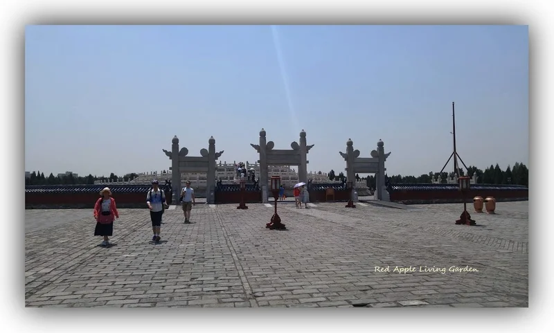 pic_854444533_b.webp