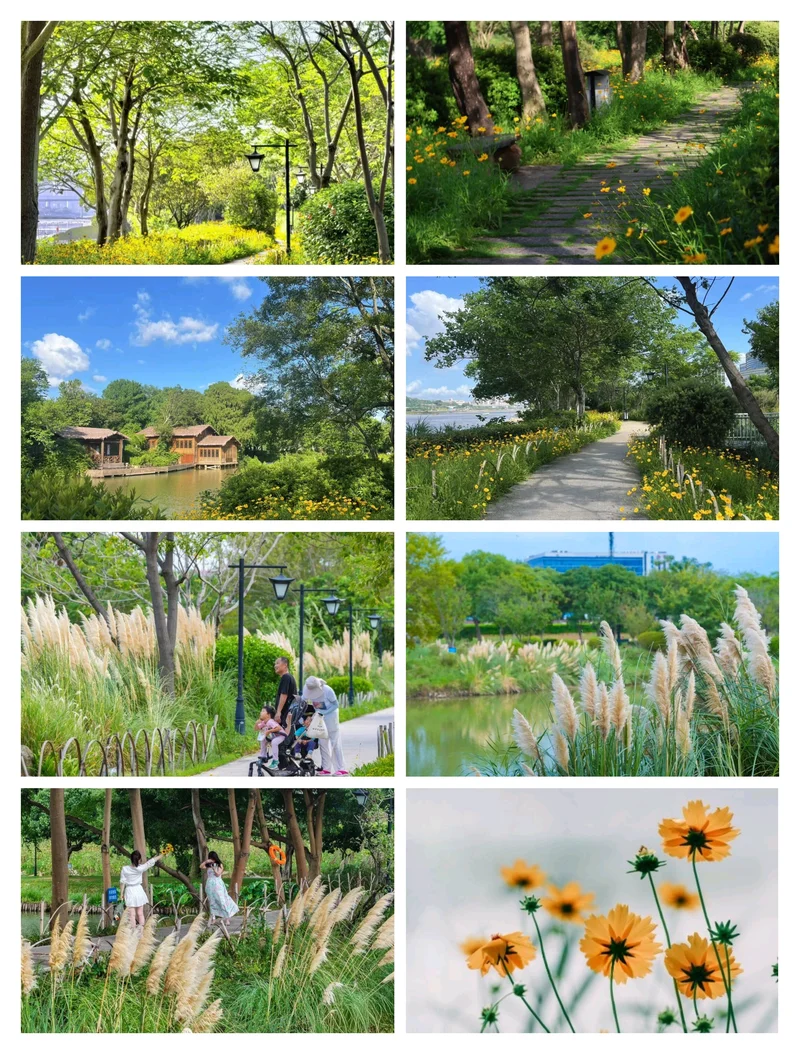 福州花海  湿地人家⛩️🌈🌳🏵️🌿