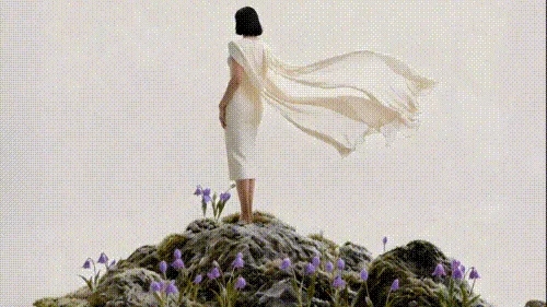 我心中的《橄榄树》