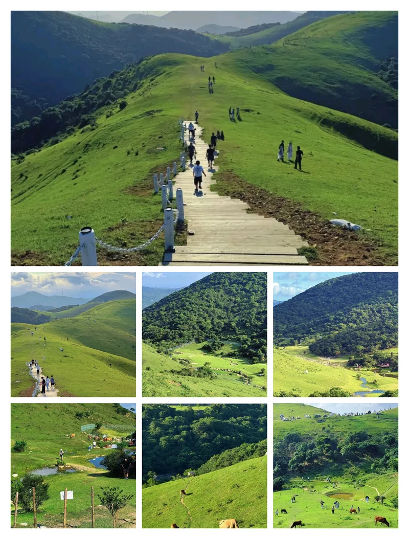 绝美的高山草原🌈💦⛵🐂🐐🌱