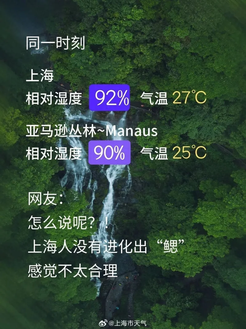 上海湿度92% 全身黏糊!网友:上海人即将进化出鳃