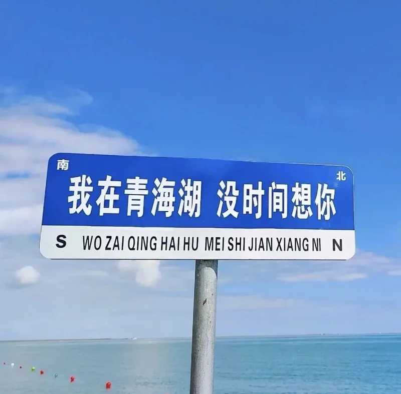 【乡情】西海情歌：青海湖游记
