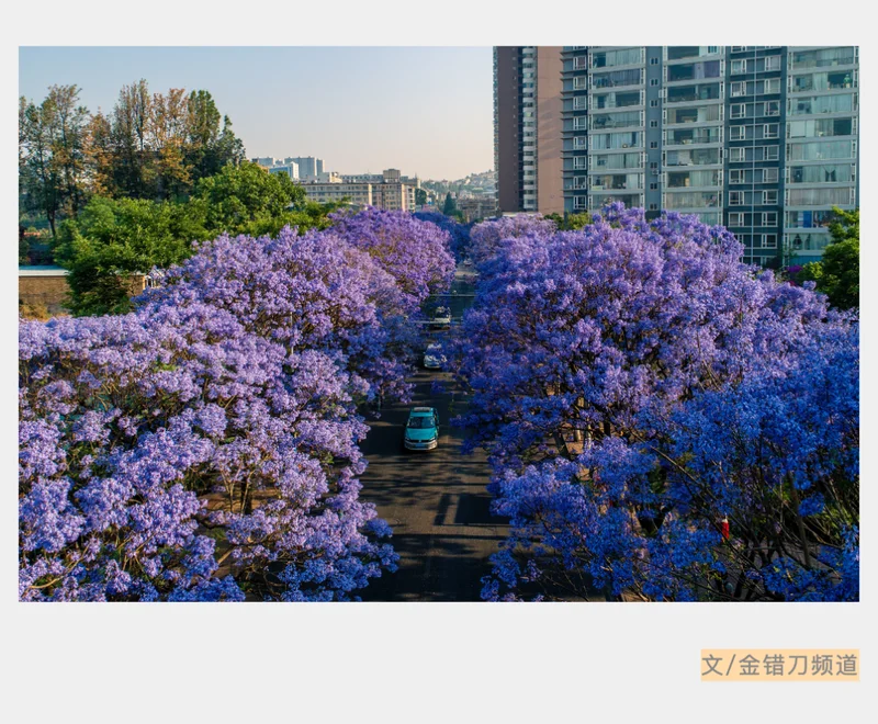“绿了全世界”的中国 彻底震碎老外三观