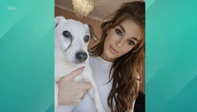 她用去世爱犬的骨灰纹眼线 结果 找她做同款的人越来越多了