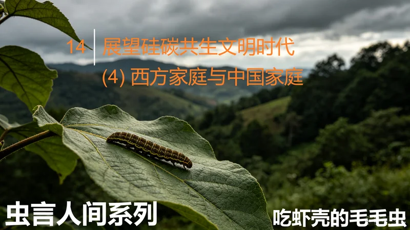 【虫言人间】14 | 展望硅碳共生文明时代 (4) 西方家庭与中国家庭