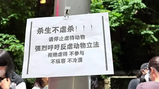 重庆男子长期虐狗惹众怒 引发上百人集会抗议