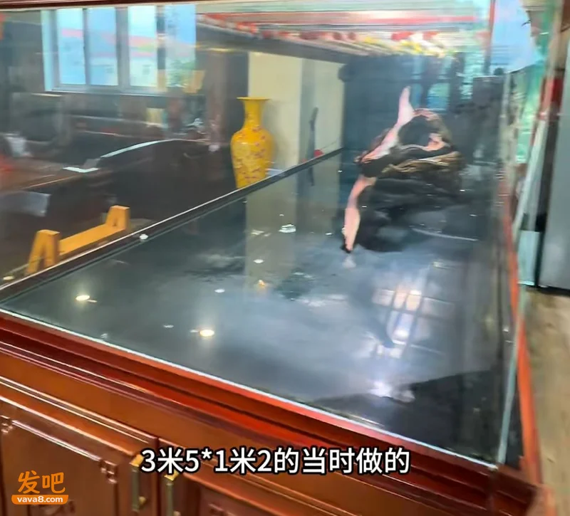 3米鱼缸炸了!主人含泪摆了一桌“价值几十万的大餐”