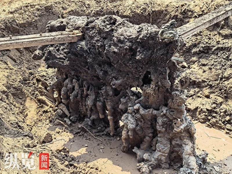 闪电惊雷过后河北麦田出现怪石 竟是罕见闪电熔岩
