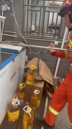 杭州抓住白蛇青蛇 今年怎么到处是蛇