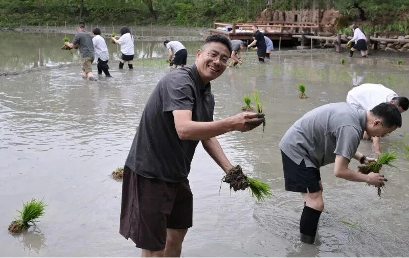 马云率领阿里高管们集体下田插秧 忙了一上午才种半亩?