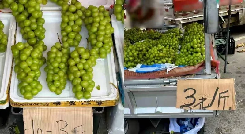 央视曝光：多款水果滥用甜味剂8000倍甜度
