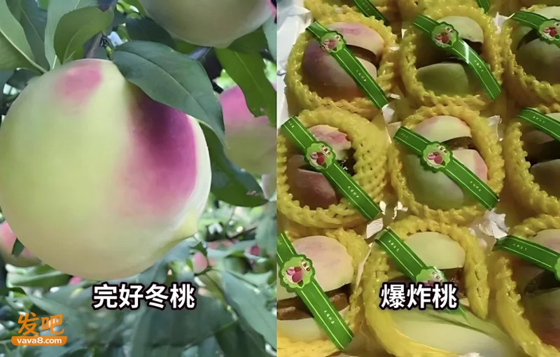 别再交智商税了 “水果骗局”被揭穿