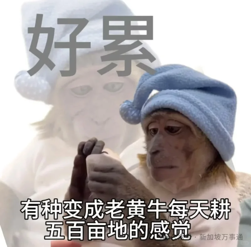 新加坡人均有效生命长远超中国！看完这组硬核“证据”彻底被震撼