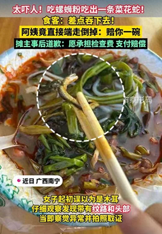 太吓人!广西女子吃螺蛳粉竟吃出一条蛇