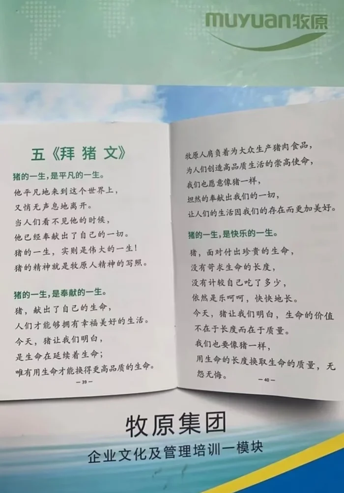 像猪一样奉献 企业文化不能只剩下感动自己