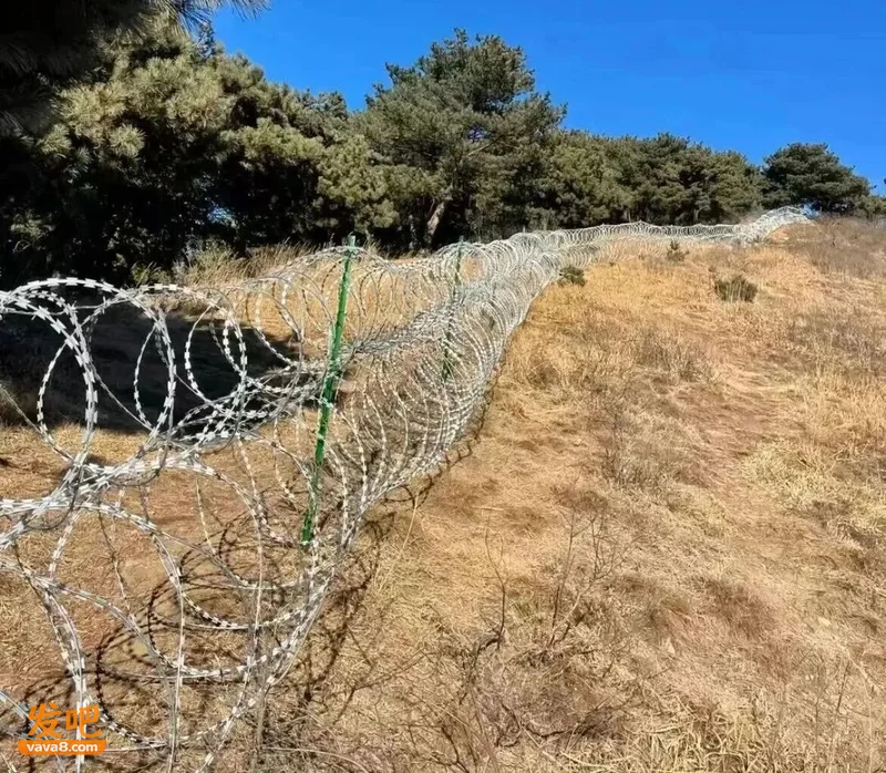 泰山的刀片网 围住的不只是山 拆不了 他们也不想拆