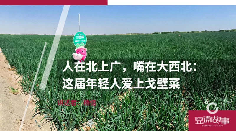 人在北上广 嘴在大西北：这届中国年轻人爱上戈壁菜