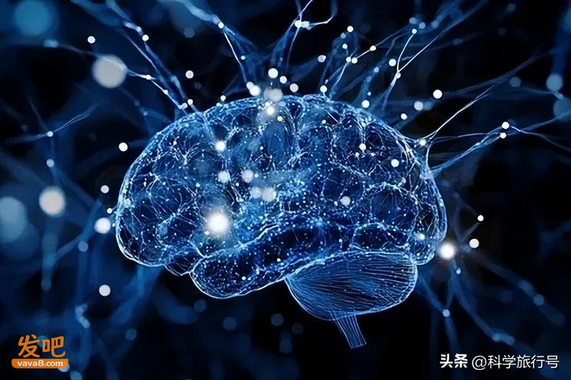 大脑为什么停不下来?神经科学告诉你反复胡思乱想的真相