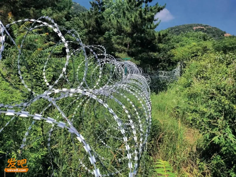 治标不治本 泰山“刀片网” 拆！政府的管控焦虑