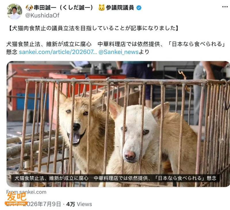 日本竟还能吃狗肉 曝东京大阪仍有50家店偷偷卖