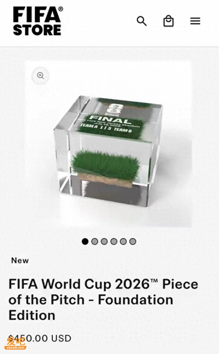 国际足联开售世界杯决赛场地草坪纪念品 一块最高售价3000美元