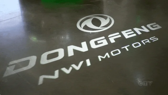 中国电动车涌入加拿大 超八成低于$3.5万!车主:开出门像明星!
