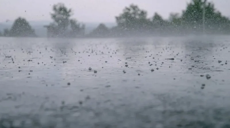 雨带真的北移了 北方暴雨为何越来越多