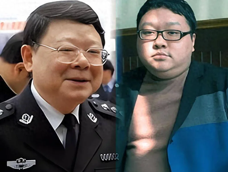 父亲被执行死刑母亲被判8年 16年过去 文强儿子现状如何？