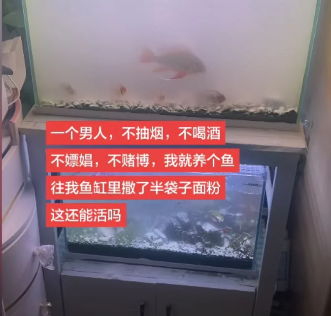 丈夫少交半月工资 妻子倒面粉毁鱼缸 全网劝离万能学爸