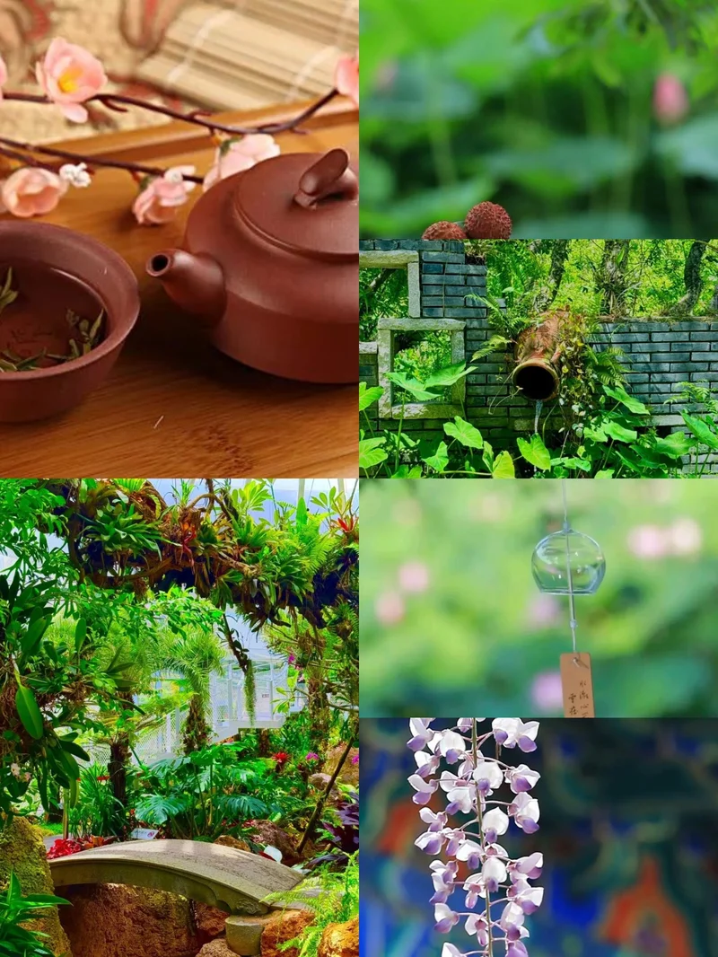 三江口『綠野仙踪』⛩️🌈🌳🏵️🍁🌿