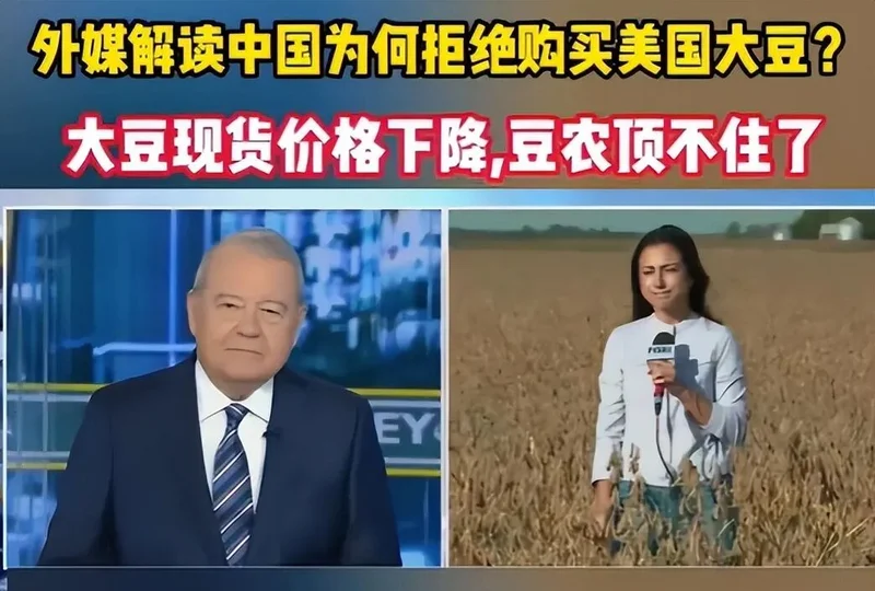 对华出口暴跌40%!一夜回到解放前的美国大豆爆仓