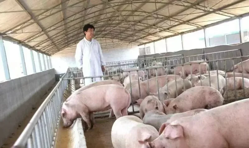 羁押712天无罪释放负债3000万 为何国家赔偿只有41万