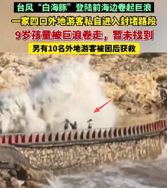 9岁男孩被海浪卷走后续:救援队发声 姑姑行为致命