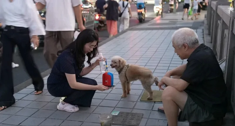 “婚外胚胎案”当事人：我做的每一件事都不后悔