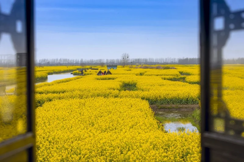 【边走边悟】（7）： 一方水土